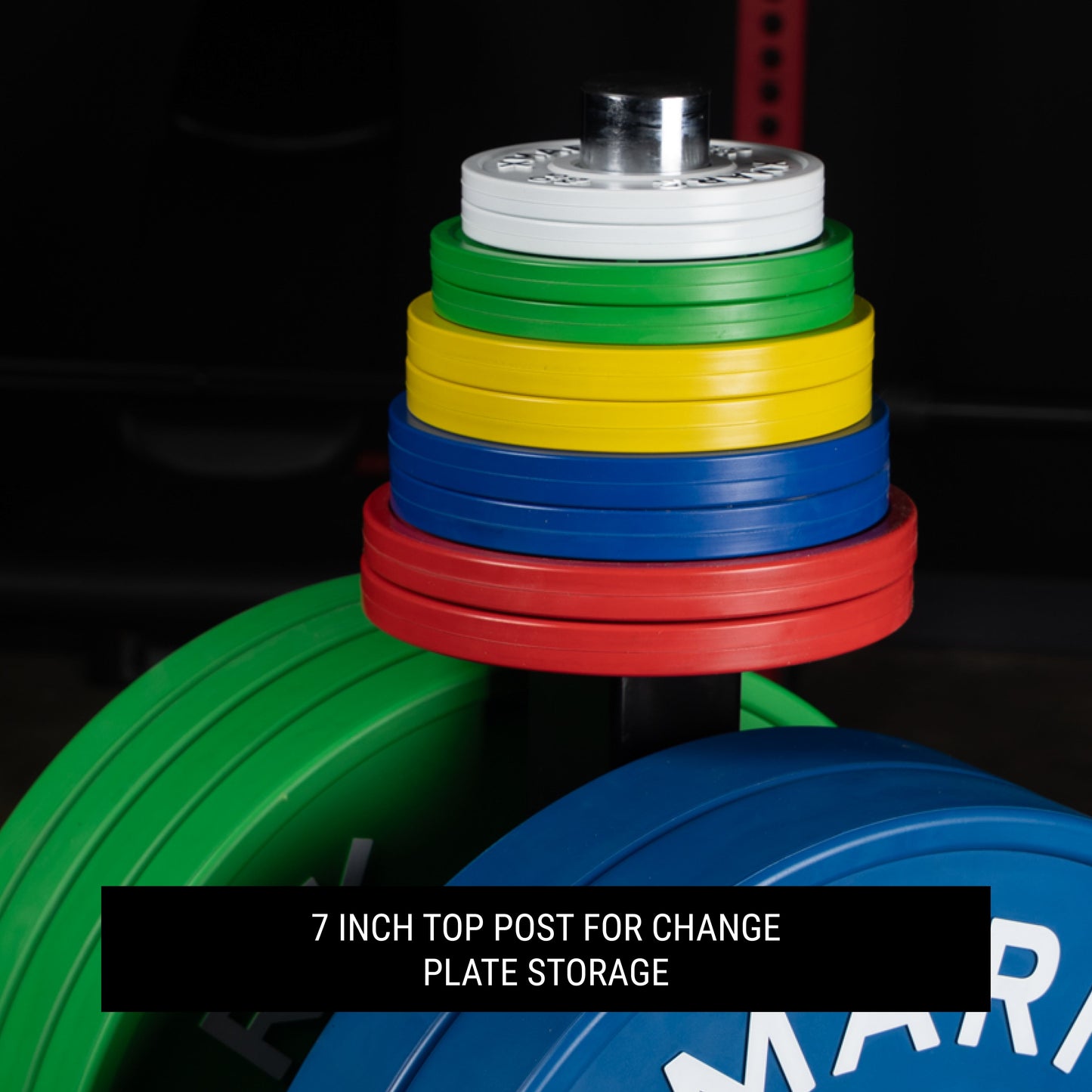 Commercial Olympic Weight Plate Tree on Castors with Dual Bar Holders