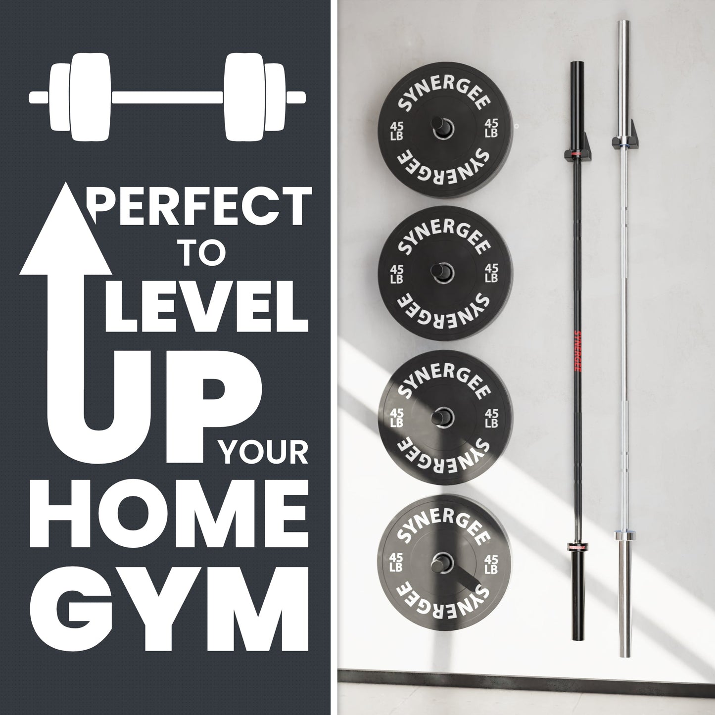 Synergee Barbell and Accessory Hanger