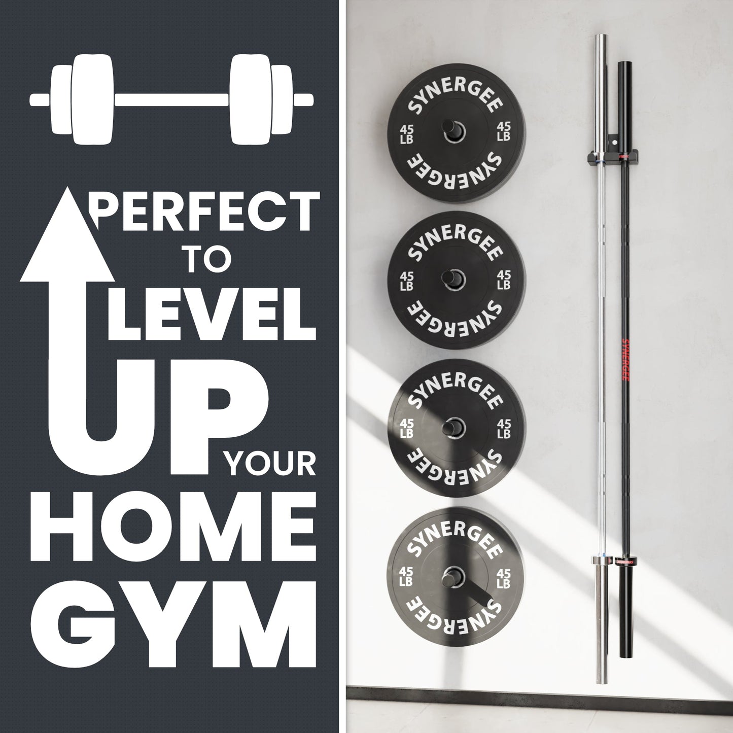 Synergee Barbell and Accessory Hanger