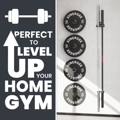 Synergee Barbell and Accessory Hanger