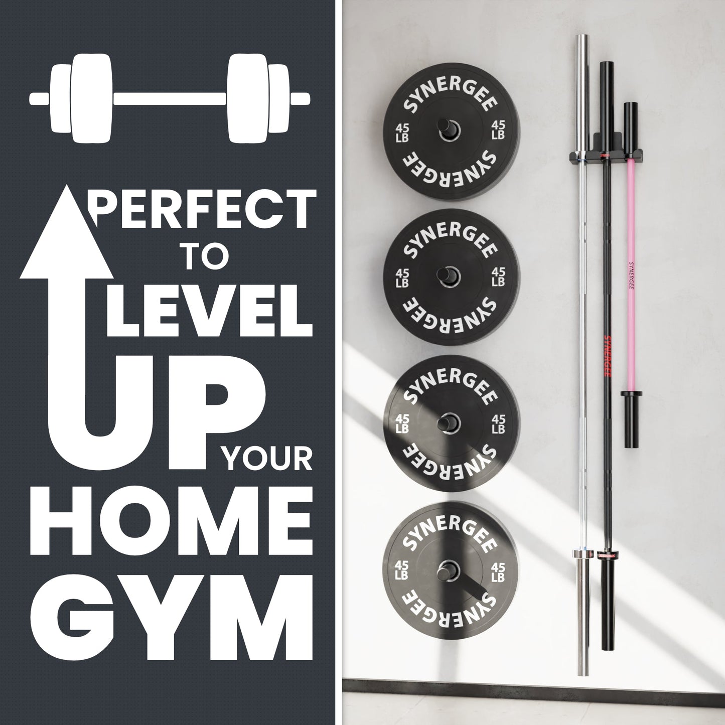 Synergee Barbell and Accessory Hanger