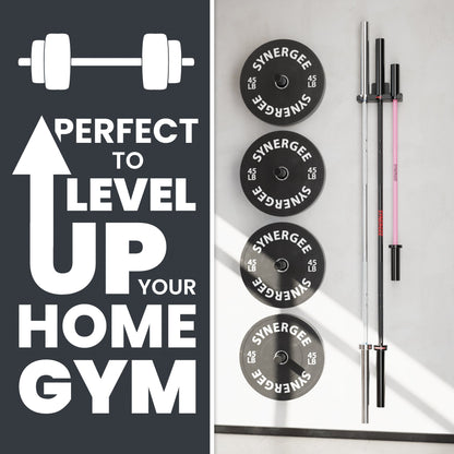 Synergee Barbell and Accessory Hanger