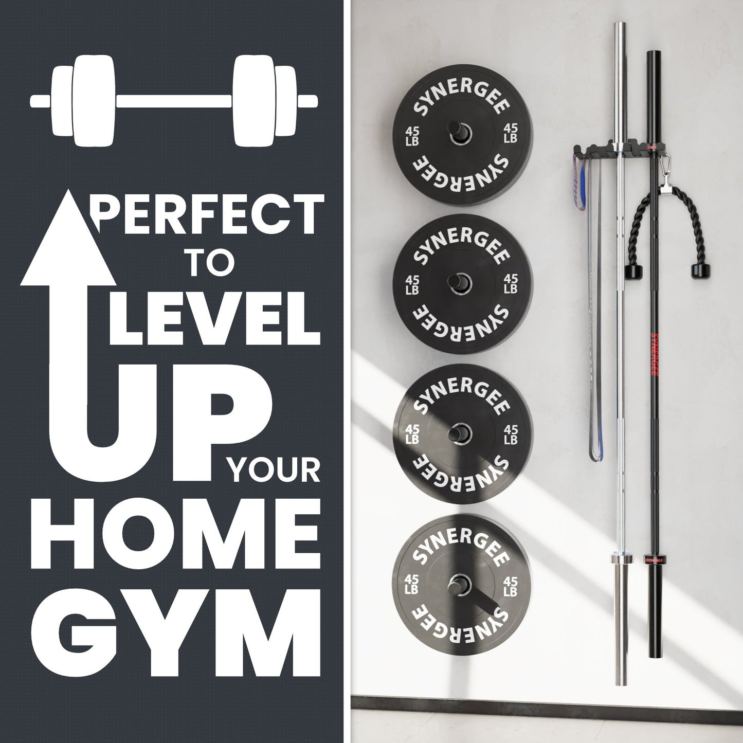 Synergee Barbell and Accessory Hanger