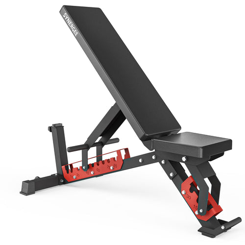 Adjustable Wing Back Workout Bench – Ultimate Versatility