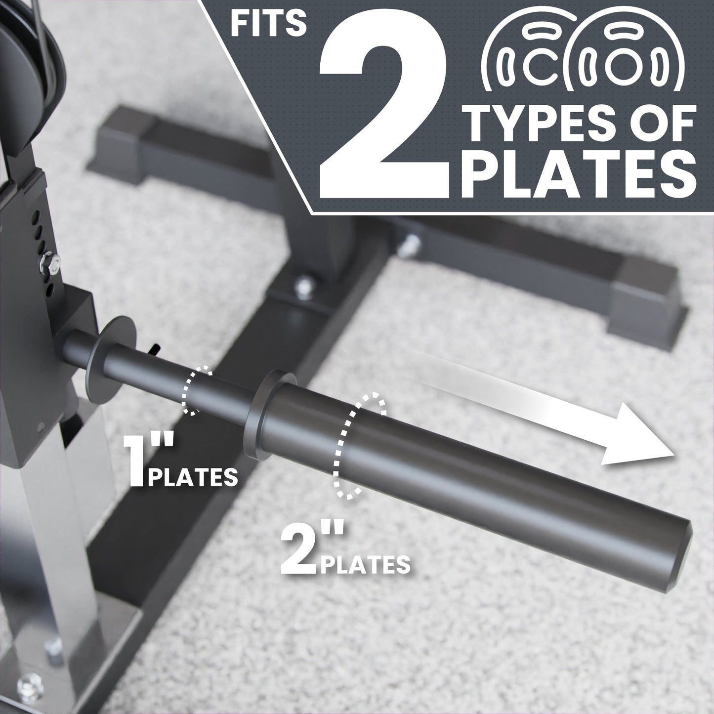 Synergee Chest Fly and Reverse Delt Machine