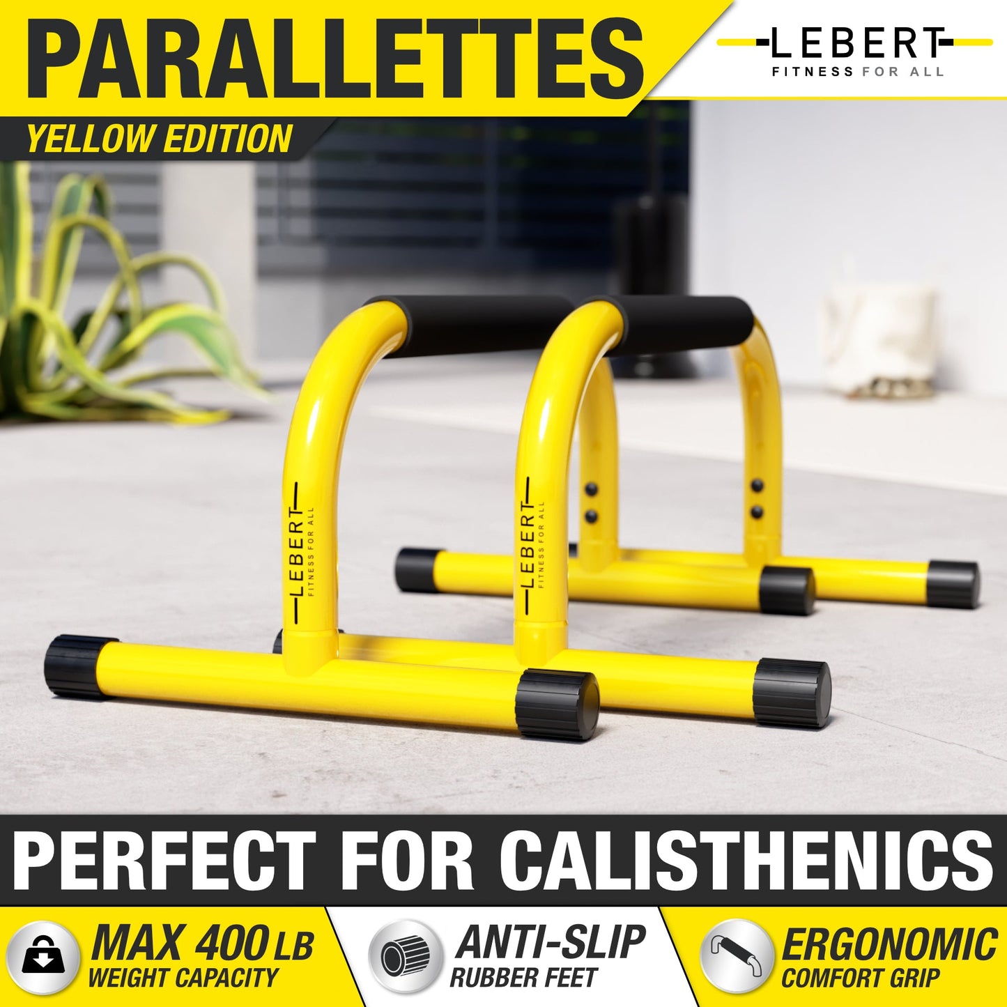 Lebert Fitness Parallette Bars