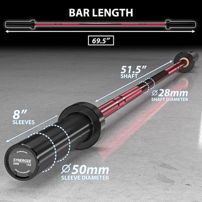 Synergee Technique Barbell