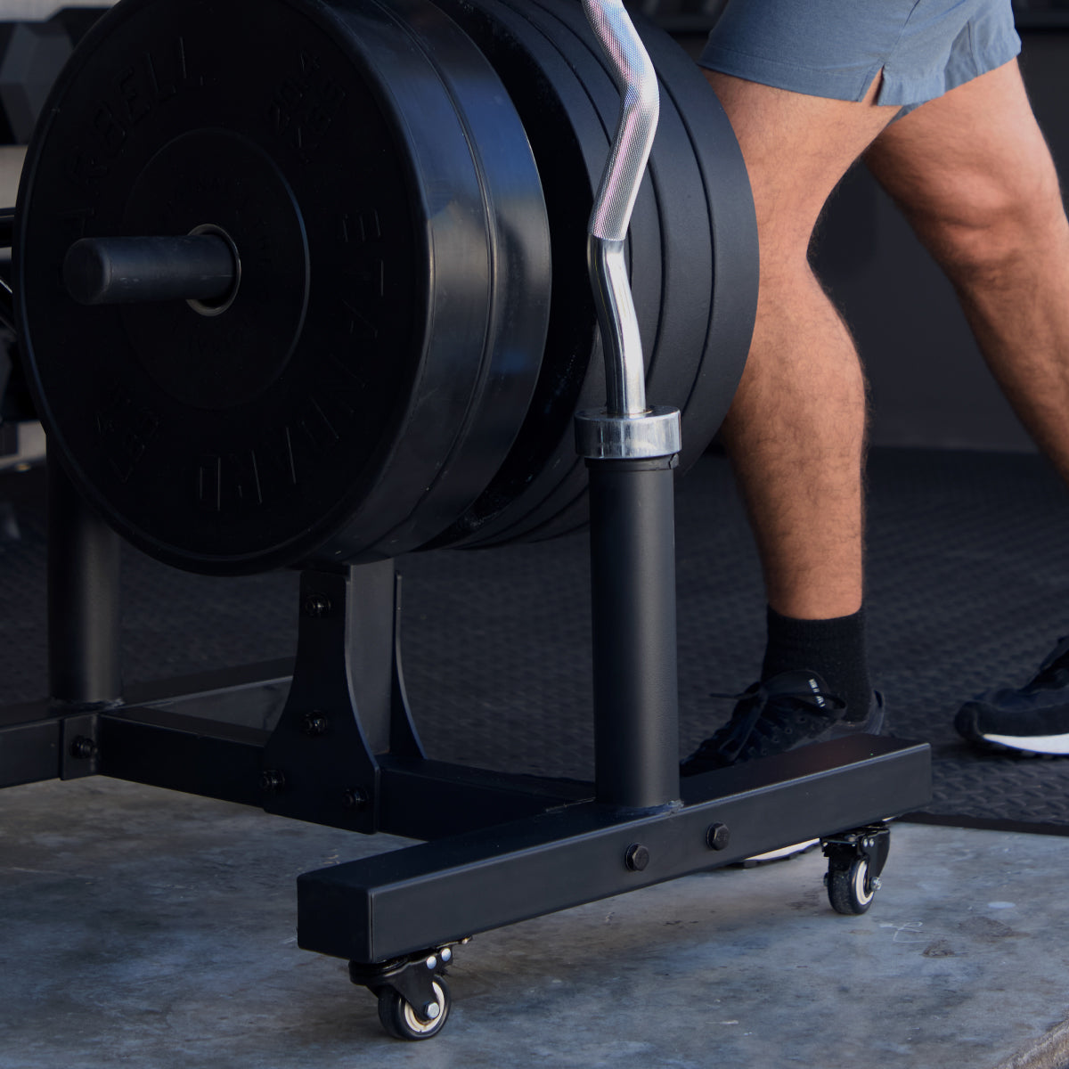 Weight Tree - Olympic Barbell and Weight Rack