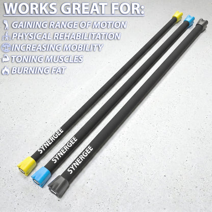 Synergee Weighted Workout Bars